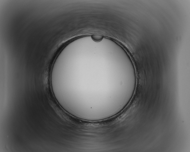 X0000092041499200710031015