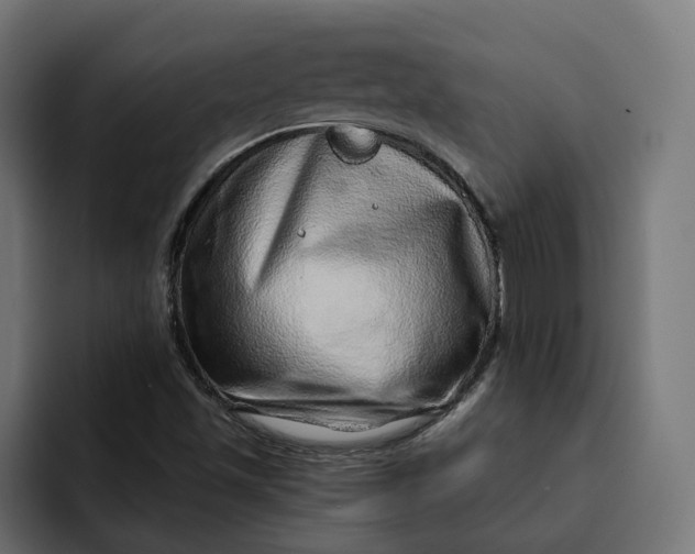 X0000092041501200710031015