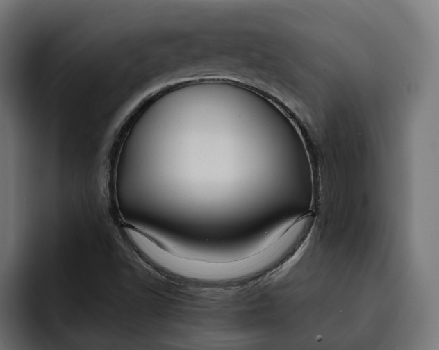 X0000092041502200710031015