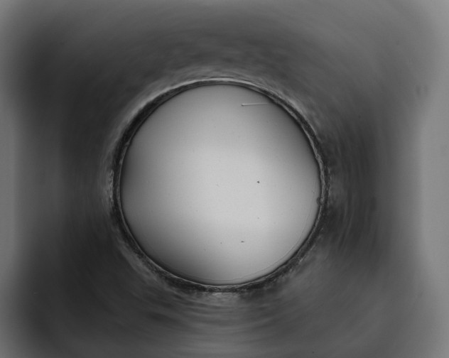 X0000092041503200710031015