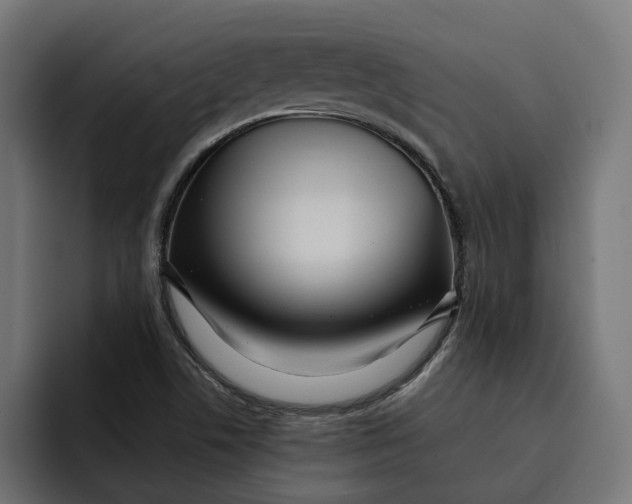 X0000092041506200710031015