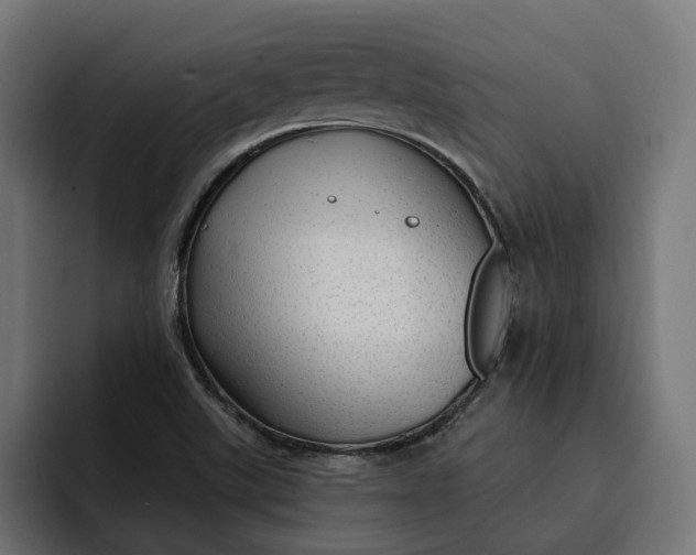 X0000092041507200710031015