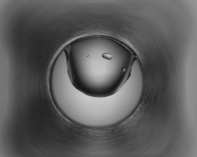 X0000092041508200710031015