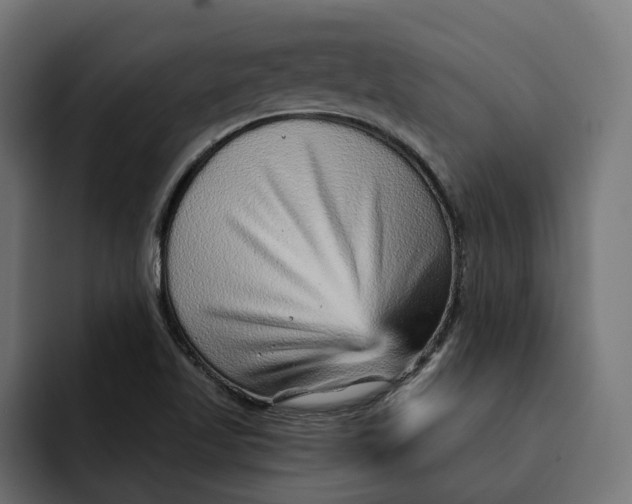 X0000092041509200710031015