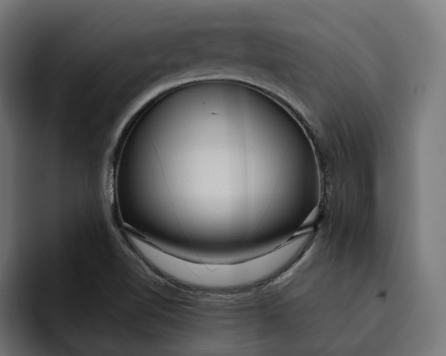 X0000092041510200710031015