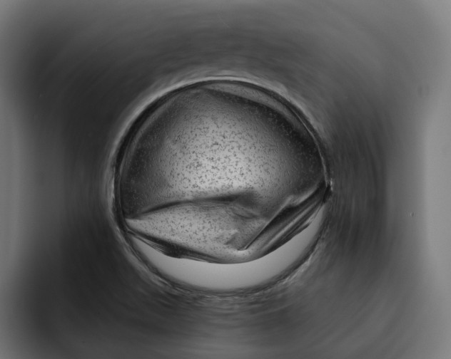 X0000092041511200710031015