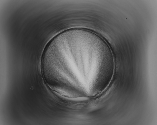 X0000092041513200710031015