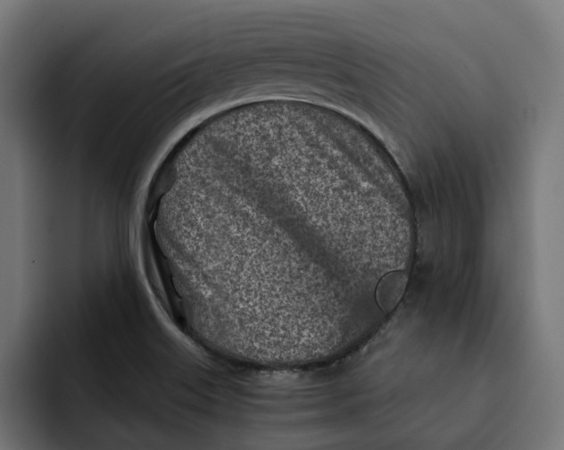 X0000092041515200710031015