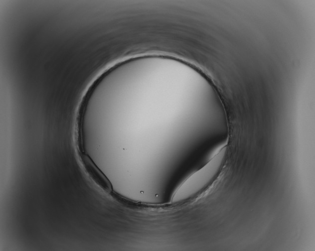 X0000092041518200710031015