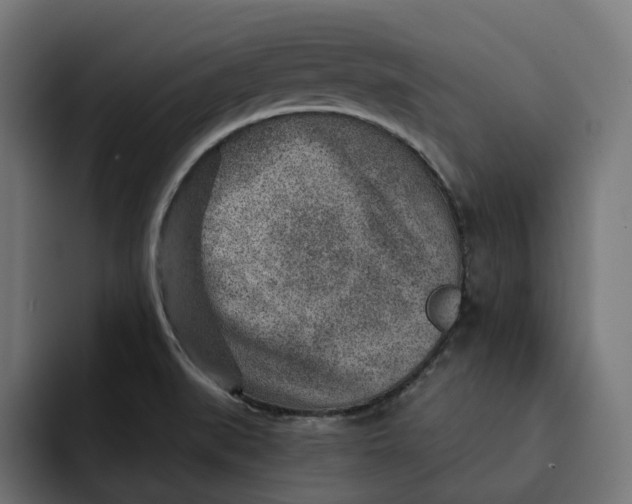 X0000092041519200710031015