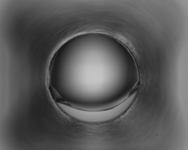 X0000092041520200710031015