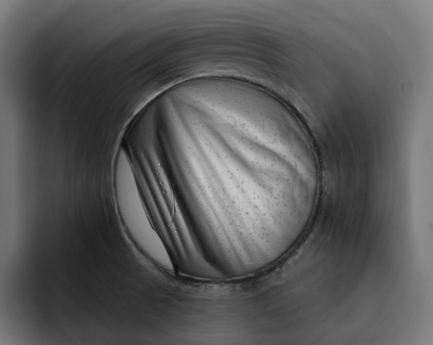 X0000092041521200710031015