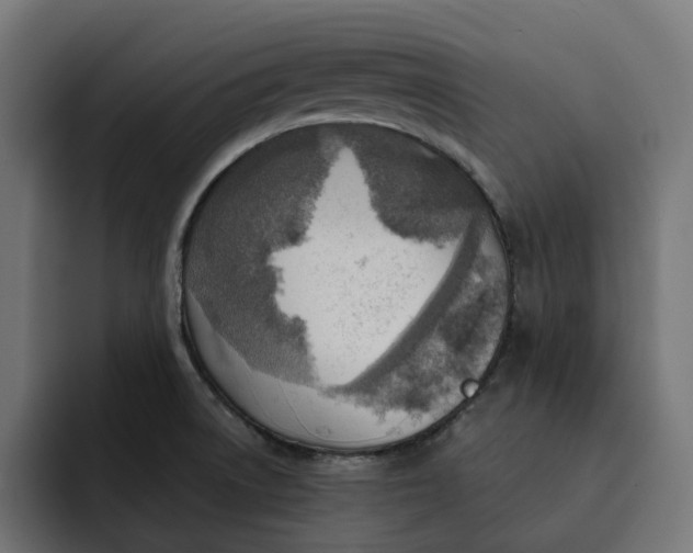 X0000092041522200710031015