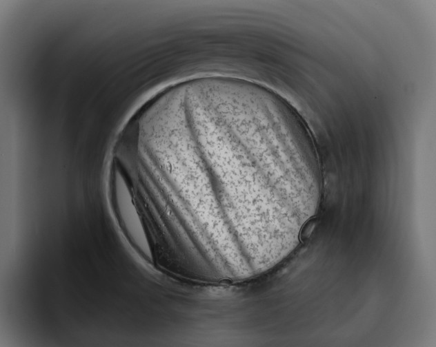 X0000092041523200710031015