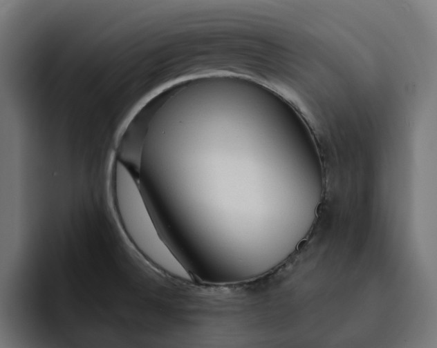 X0000092041524200710031015