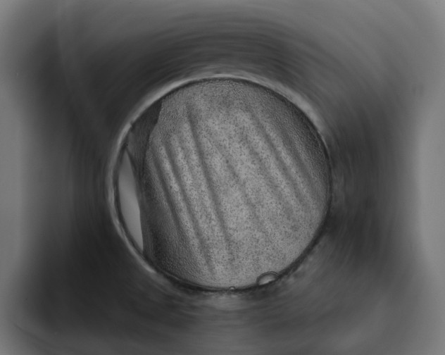 X0000092041525200710031015