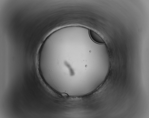 X0000092041526200710031015