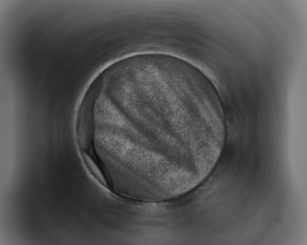 X0000092041527200710031015