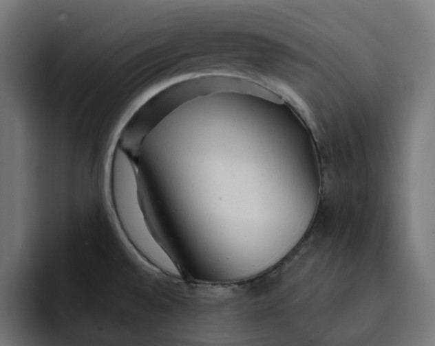 X0000092041528200710031015