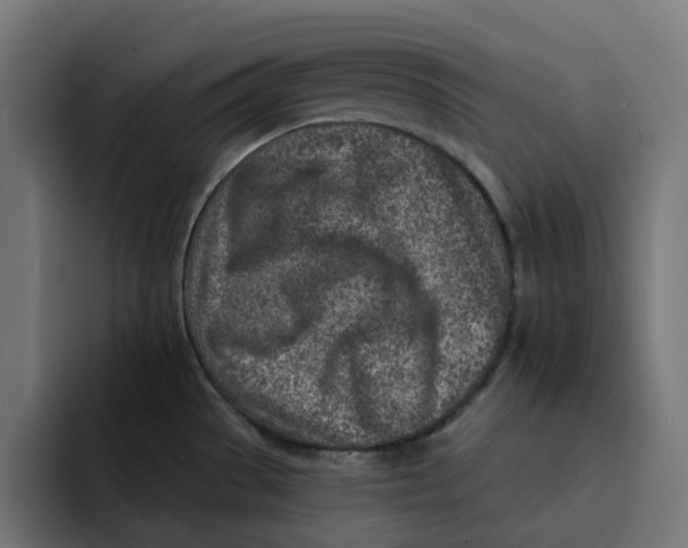 X0000092041529200710031015