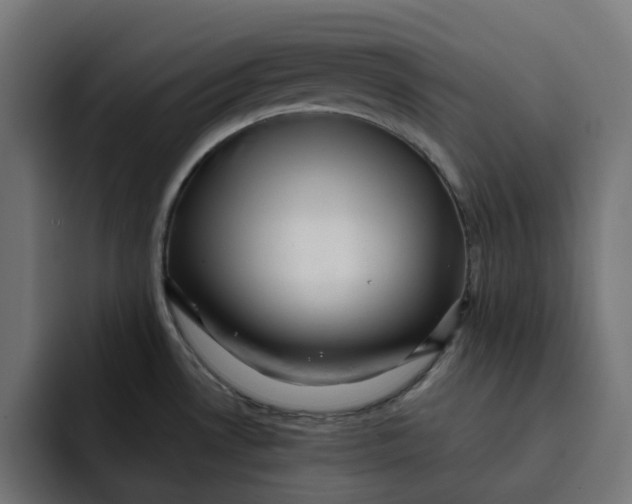 X0000092041530200710031015