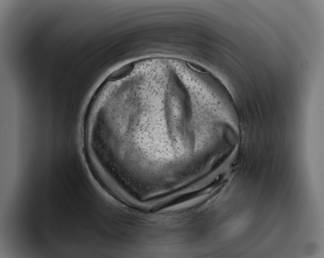 X0000092041531200710031015