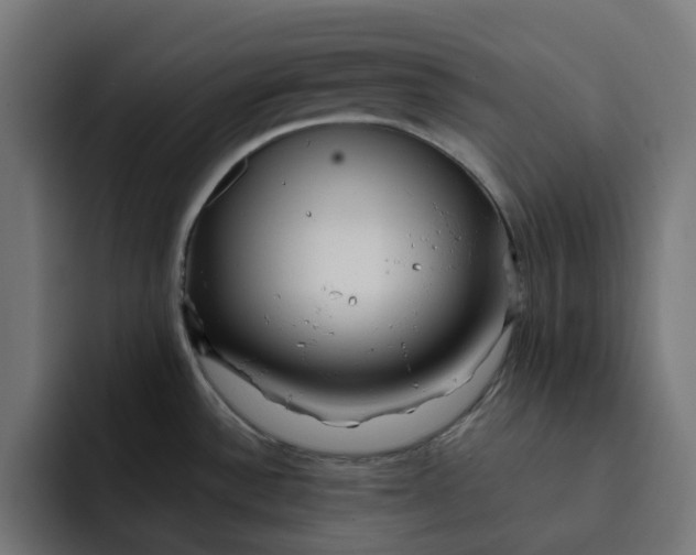 X0000092041532200710031015