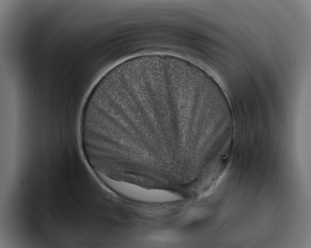 X0000092041533200710031015