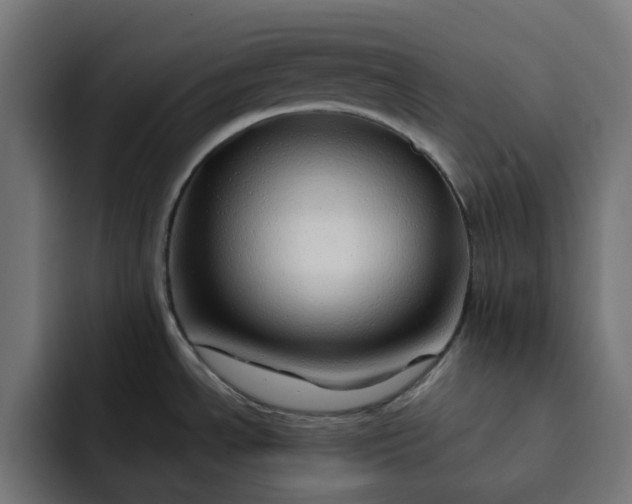 X0000092041534200710031015