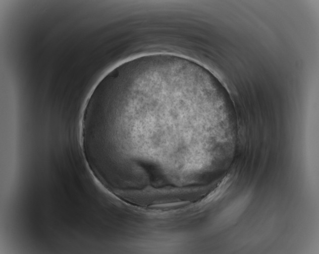 X0000092041535200710031015