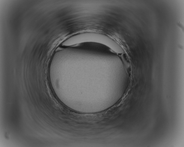 X0000092040001200710101006