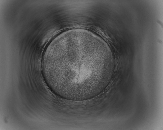 X0000092040002200710101006