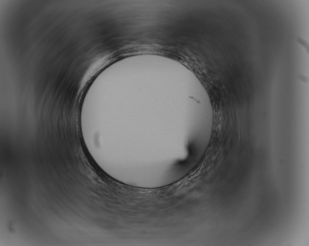 X0000092040004200710101006