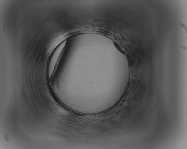 X0000092040005200710101006