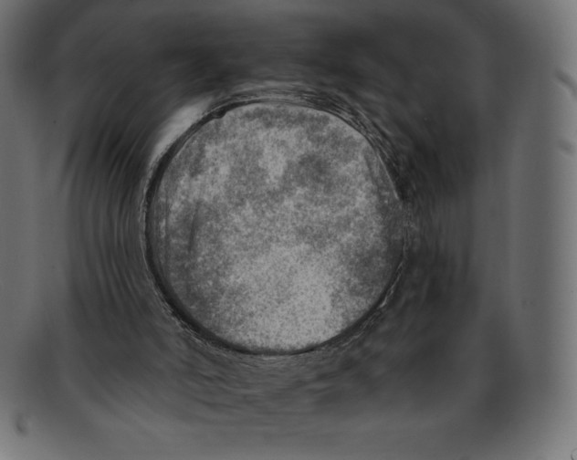 X0000092040006200710101006