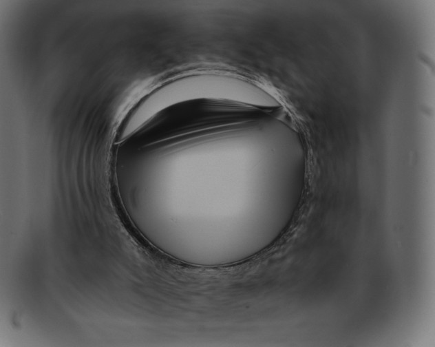 X0000092040007200710101006