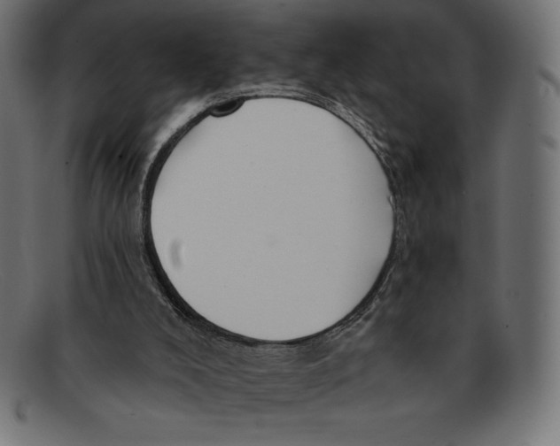 X0000092040008200710101006