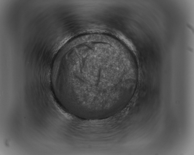 X0000092040009200710101006