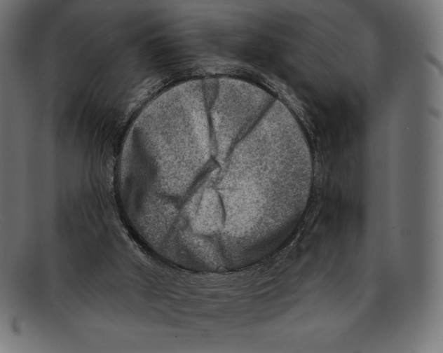 X0000092040010200710101006