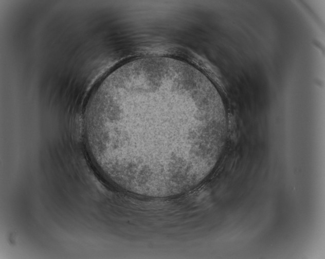 X0000092040012200710101006