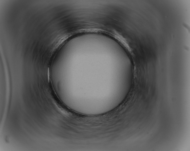 X0000092040013200710101006