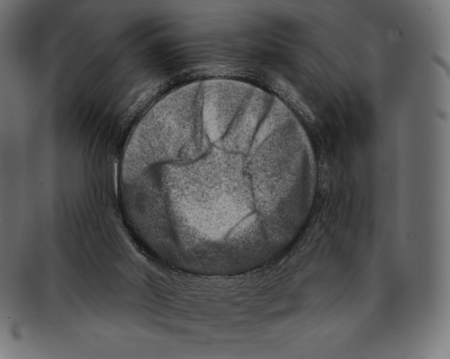 X0000092040014200710101006