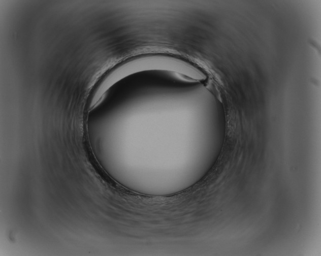 X0000092040015200710101006