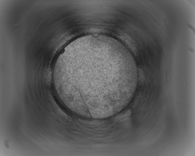 X0000092040016200710101006