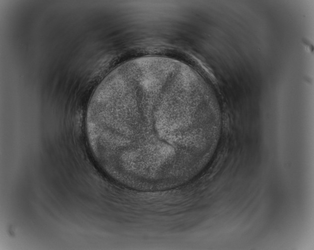 X0000092040018200710101006