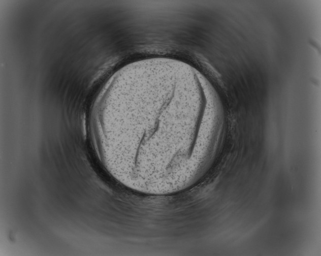 X0000092040020200710101006