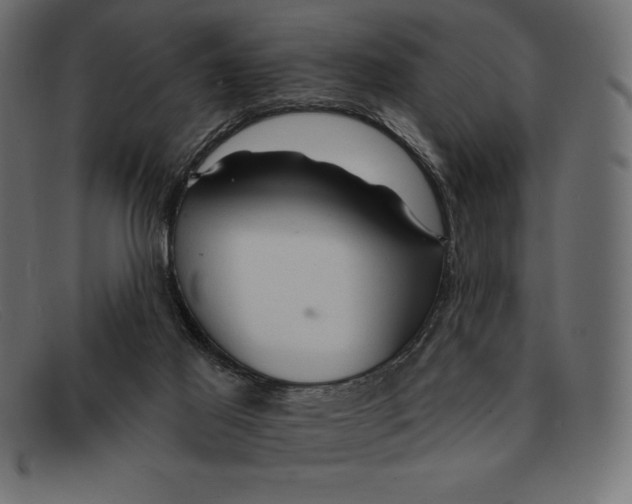 X0000092040021200710101006