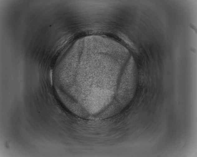 X0000092040022200710101006