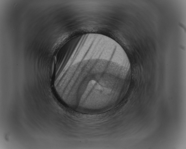 X0000092040023200710101006