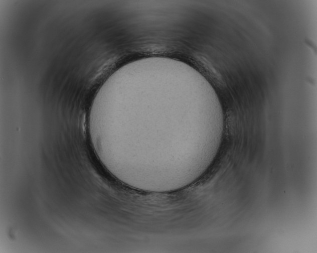 X0000092040024200710101005